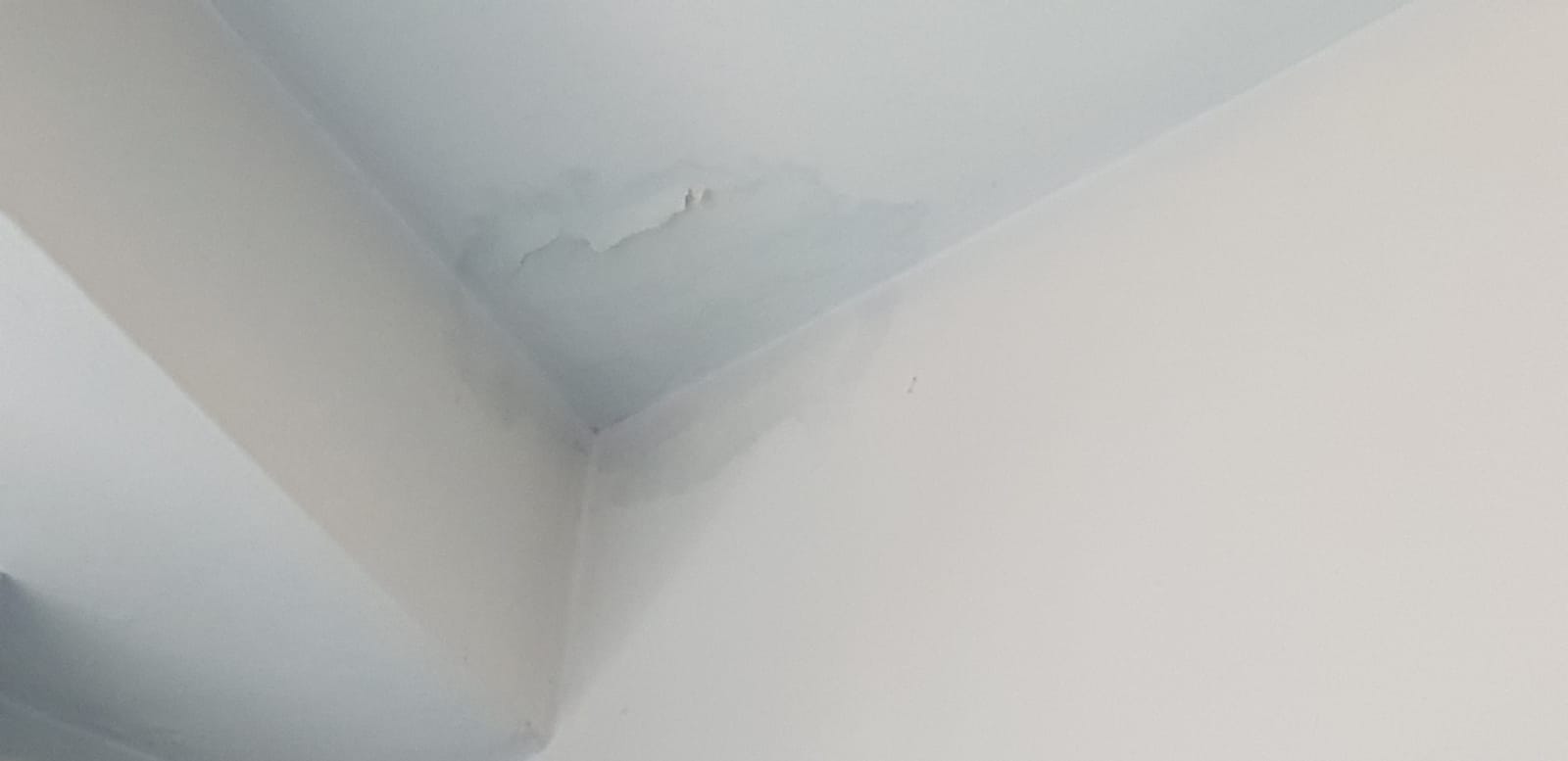 Soffitto con evidente traccia di infiltrazione di acqua dal piano superiore